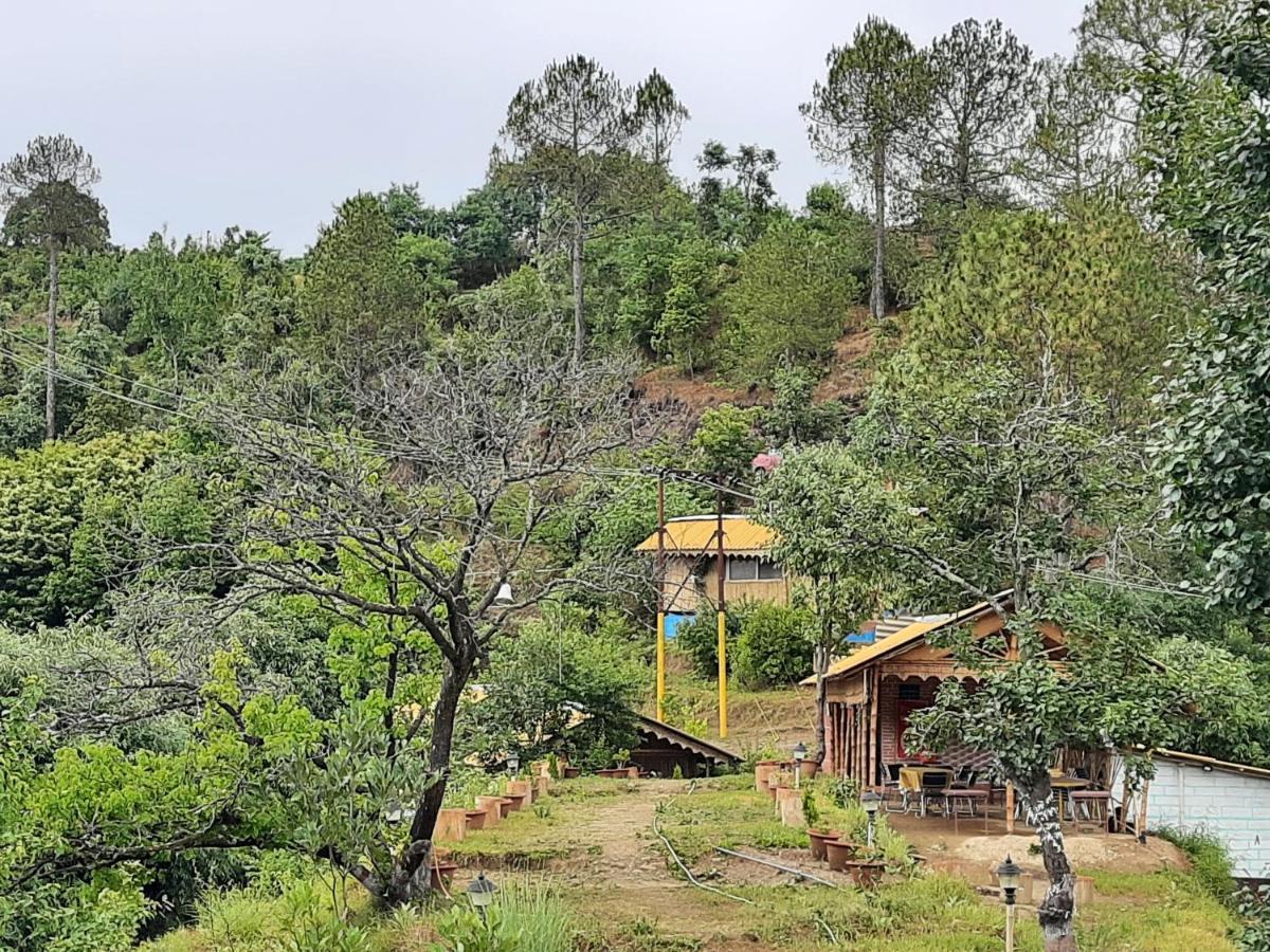 Mukteshwar Grand Retreat Exteriör bild